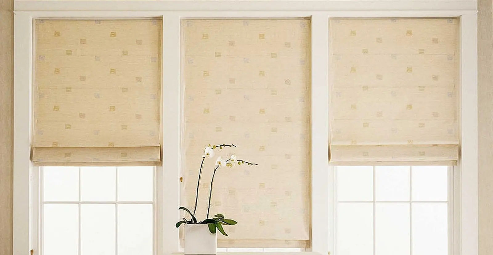 Enrollables screen y translúcidas – Tecnología y diseño funcional