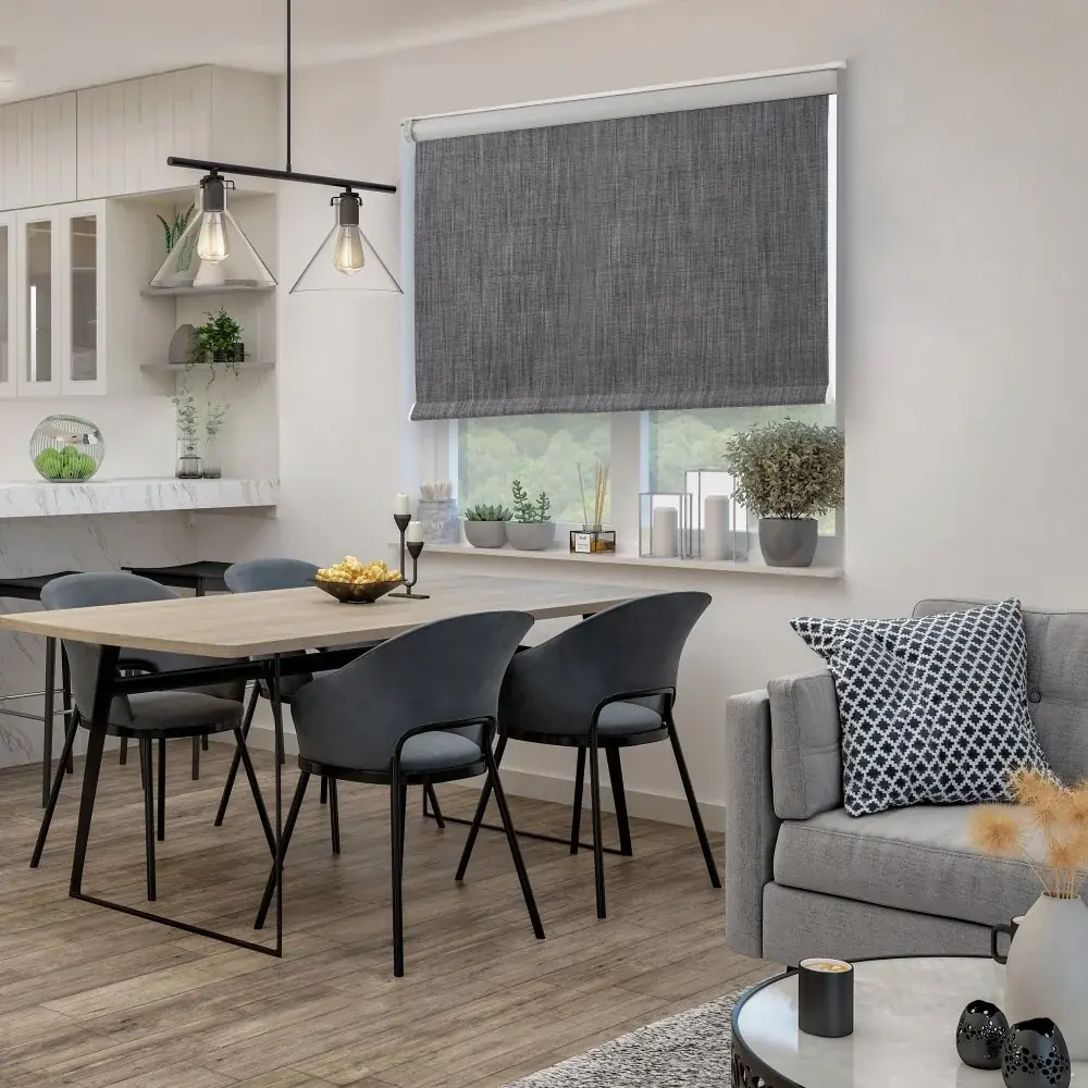 Salas de estar o televisión